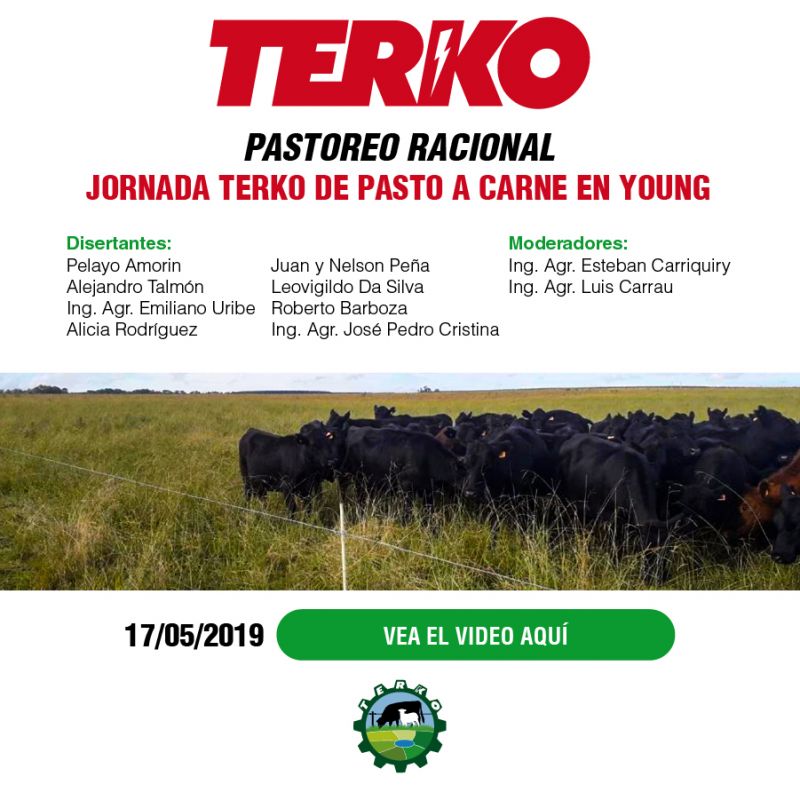 Pastoreo Racional, Jornada TERKO de Pasto a Carne. Young